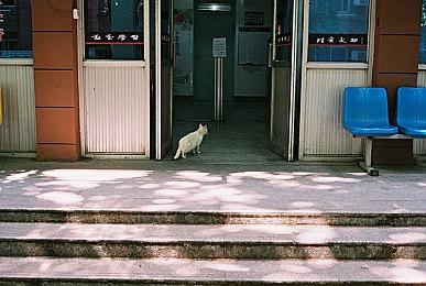 《生化危机3：重制版》吉尔《毁灭战士》mod 十分炫酷