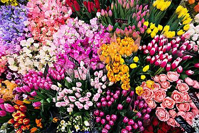 《无双深渊》新版本即将上线 瑞秋角色介绍