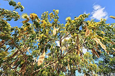 尼尔谈《最后的生还者2》成功：大胆创新是关键